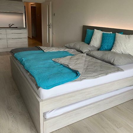 Apartman Denisa Lipno nad Vltavou Zewnętrze zdjęcie