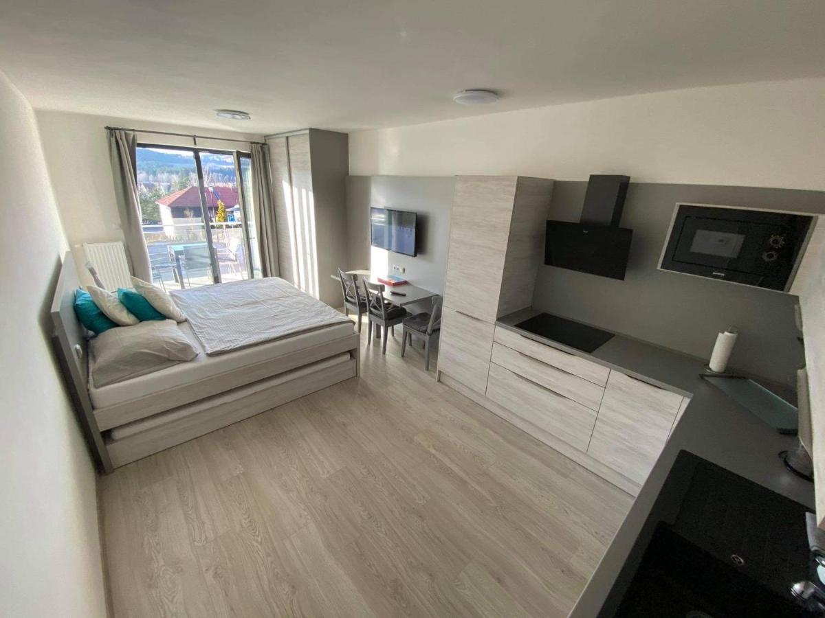 Apartman Denisa Lipno nad Vltavou Zewnętrze zdjęcie
