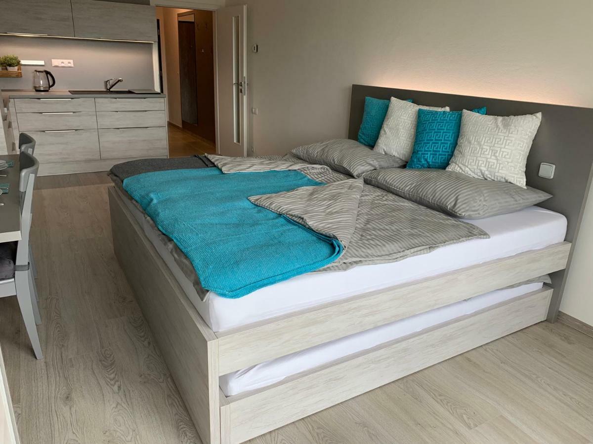 Apartman Denisa Lipno nad Vltavou Zewnętrze zdjęcie