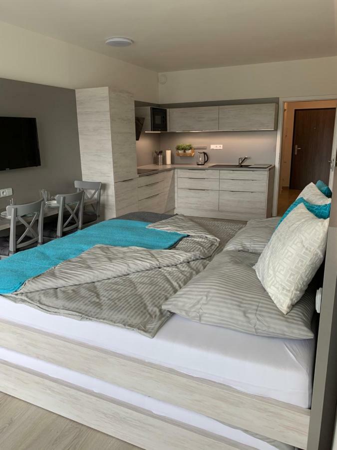 Apartman Denisa Lipno nad Vltavou Zewnętrze zdjęcie