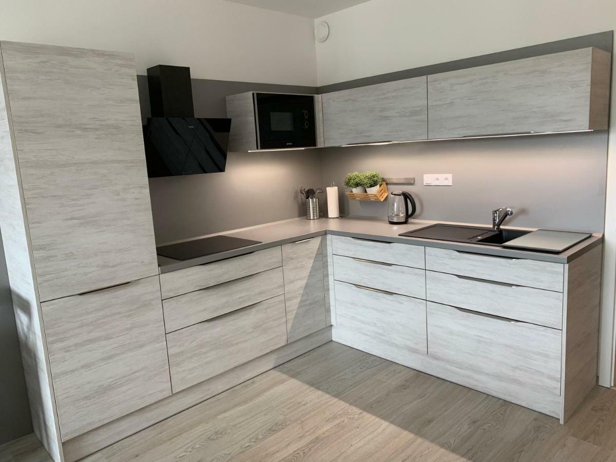 Apartman Denisa Lipno nad Vltavou Zewnętrze zdjęcie